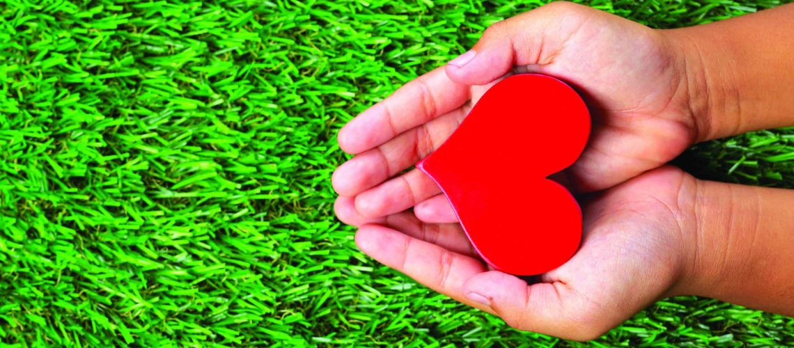 close up picture of red heart shape in hands